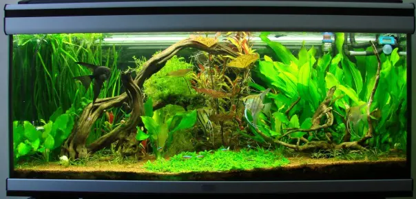Los Parámetros Del Agua.